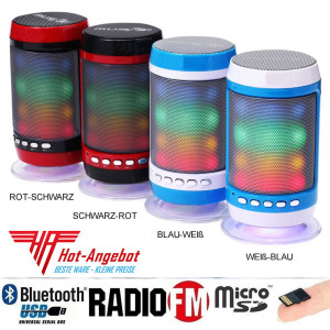 Bluetooth Externer Lautsprecher MP3-Player Radio Mikrofon USB microSD mit Akku